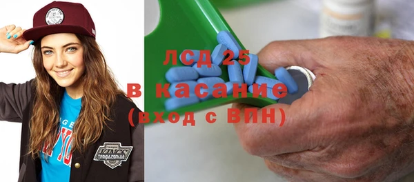 гашик Пересвет