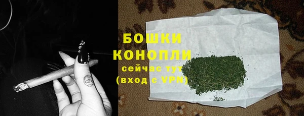 гашик Пересвет