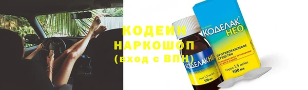 гашик Пересвет