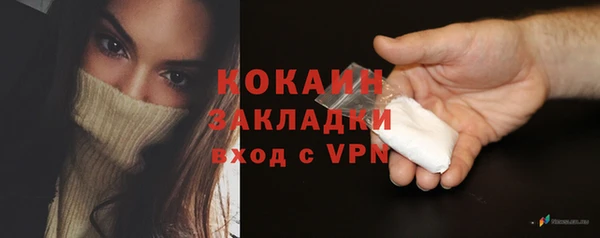 гашик Пересвет