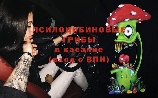 дживик Осташков