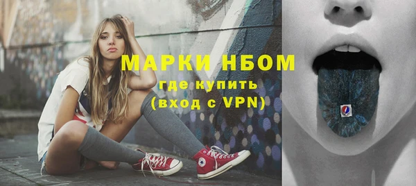 гашик Пересвет