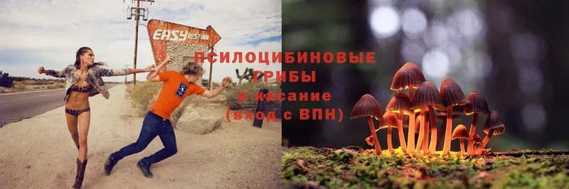 Псилоцибиновые грибы Magic Shrooms  наркота  Боровск 